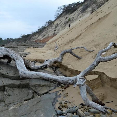 Sunrise-on-Sea Driftwood Treehouse酒店 外观 照片